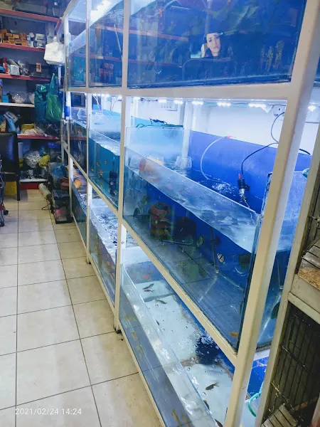 Yeni Doğuş Akvaryum foto 2