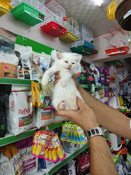 Ocean pet center foto 2