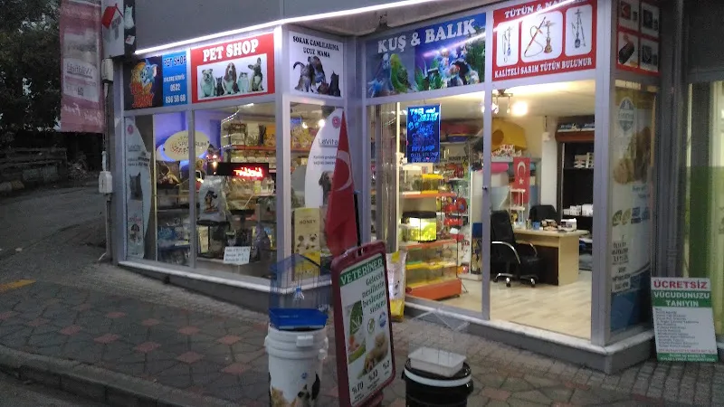 PENDİK TOM VE JERRY PET SHOP foto 2