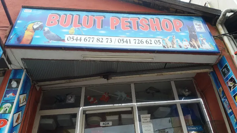 Bulut Petshop foto 1