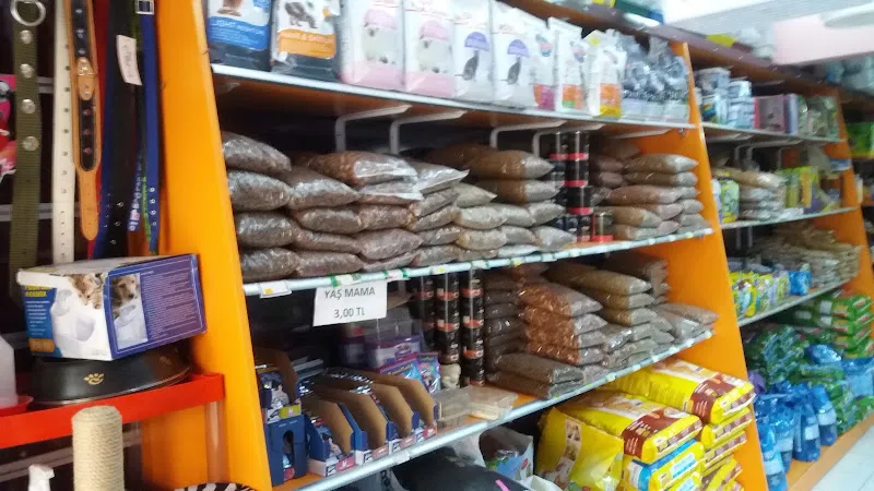 Bulut Petshop foto 2