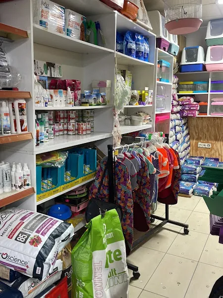 ALFA PETSHOP foto 2