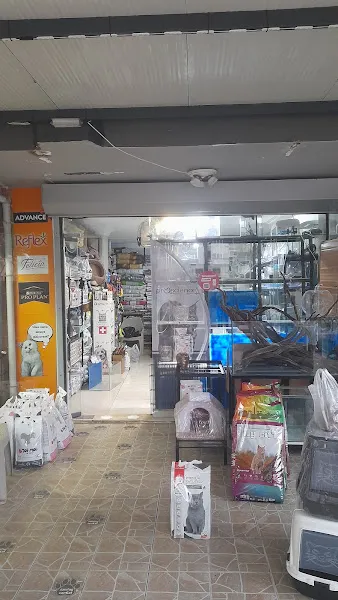 Lion Pet Shop Mezitli foto 2