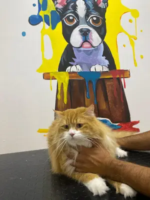 Düzce İrma Veteriner Kliniği ve Pet Kuaför