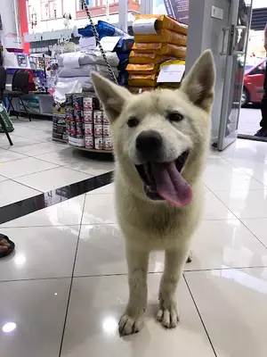 Beşikdüzü Veteriner Kliniği fotoğrafı