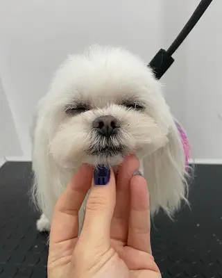 Pati Stylist fotoğrafı