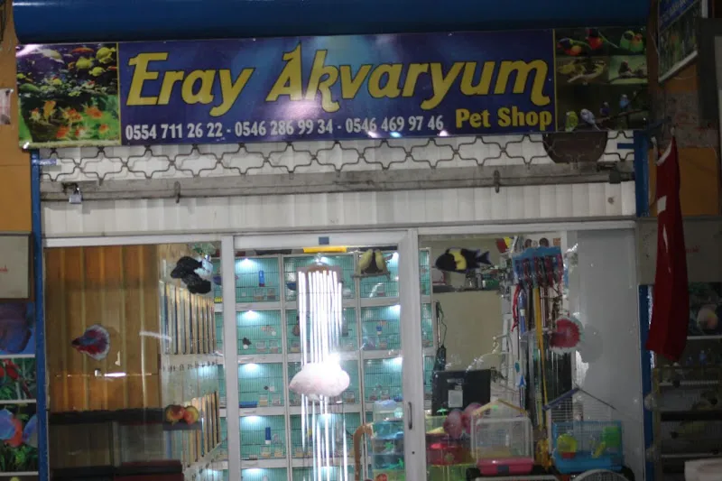 Elit akvaryum petshop foto 1