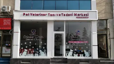 Gümüş Pati Pet Veteriner Tanı ve Tedavi Merkezi