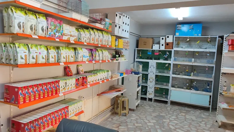 Göktürk Akvaryum & Pet Shop foto 2