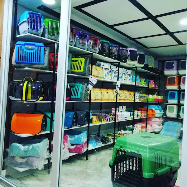 May Akvaryum Petshop Pet Hotel foto 2