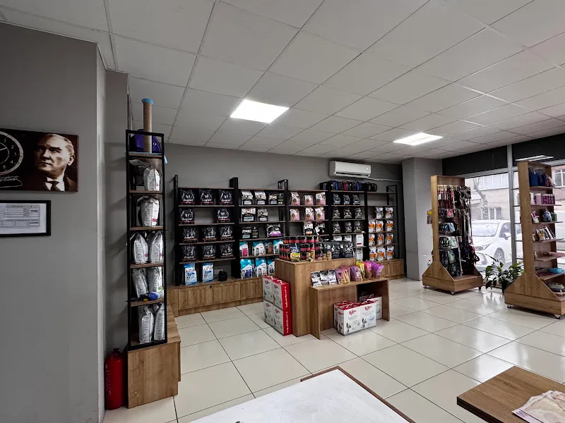 Akhisar Anka Veteriner Kliniği - Pet Kuaför foto 2