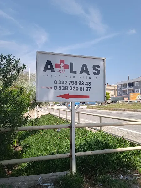 Atlas Veteriner Kliniği foto 2
