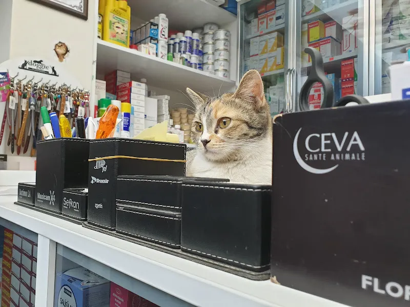 Sıla Veteriner Kliniği foto 2