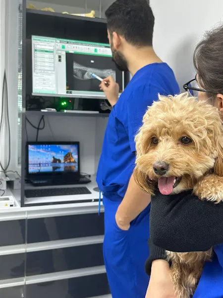 PET İV 7/24 Acil Veteriner Polikliniği foto 2