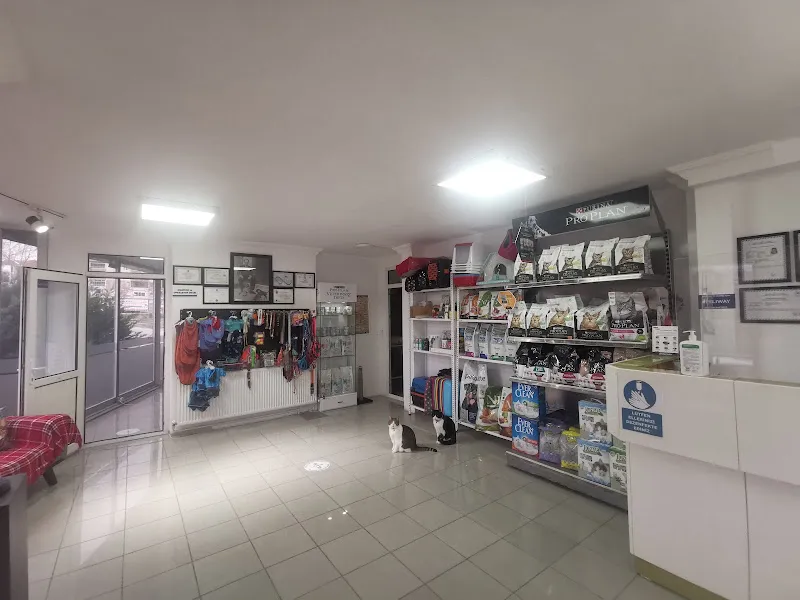 Soho-pet Veteriner Kliniği foto 1