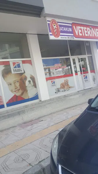 Atakum veteriner klinigi foto 2