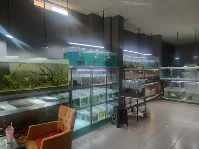 PETRA AQUA PETSHOP