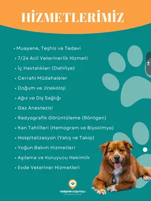 Denizli Yenişehir Koşuyolu Veteriner Kliniği