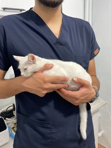 Denizli Yenişehir Koşuyolu Veteriner Kliniği foto 2