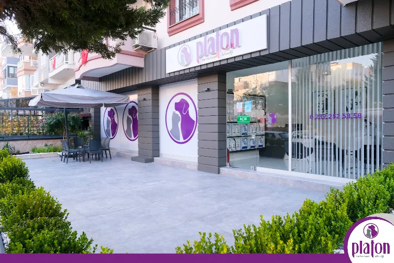 Platon Veteriner Kliniği foto 1