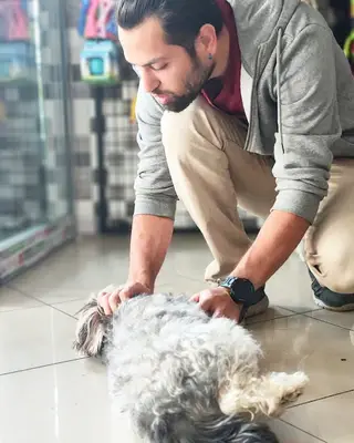 Manavgat Veteriner Kliniği