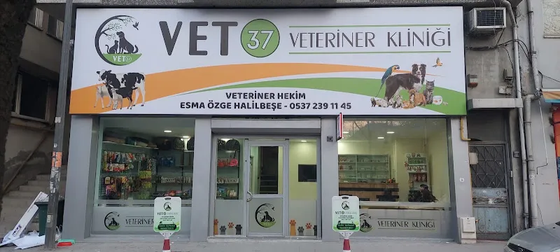 Vet37 Veteriner Kliniği foto 2