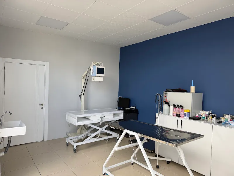 Menderes Lina Veteriner Kliniği İzmir foto 2