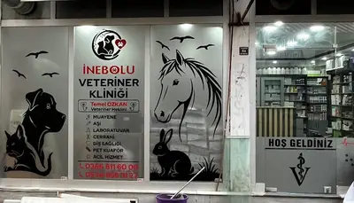 İnebolu Veteriner Kliniği(TEMEL ÖZKAN)
