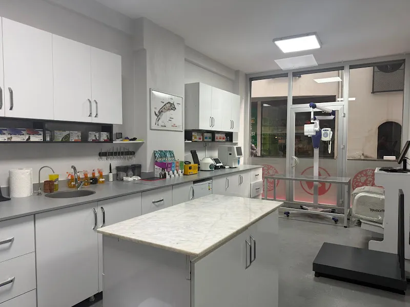 Vita Veteriner Kliniği foto 1