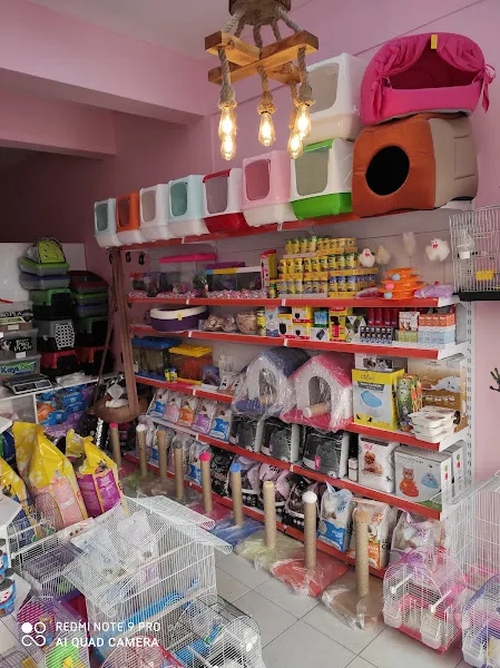 Çilek petshop foto 2