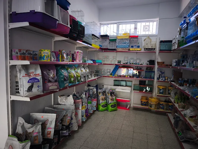 Vivora petshop foto 2