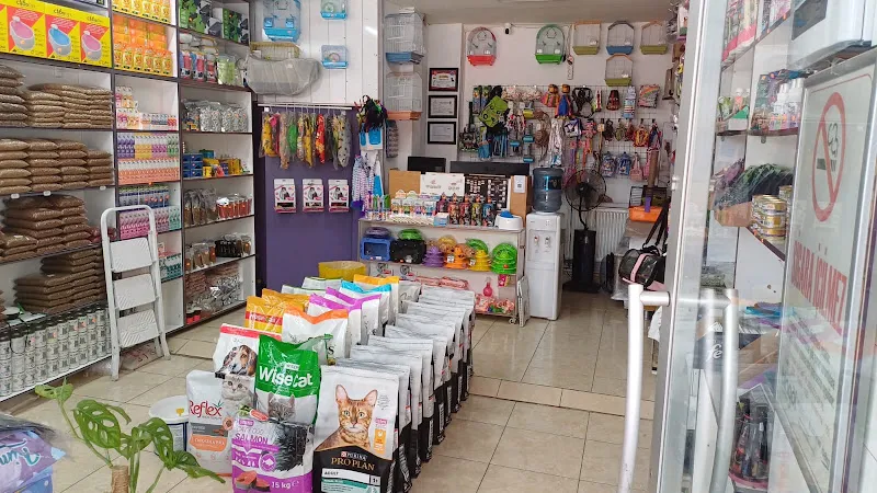 4F PETSHOP foto 2