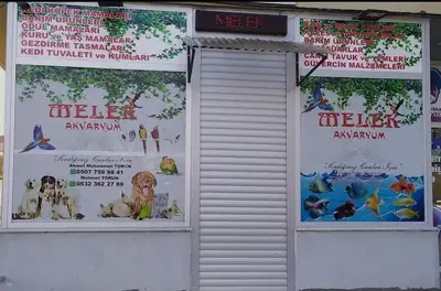 Melek Akvaryum