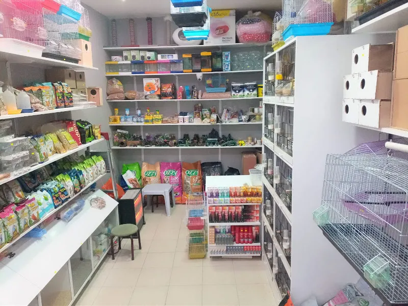 ORDU KUŞ DİYARI PETSHOP foto 2