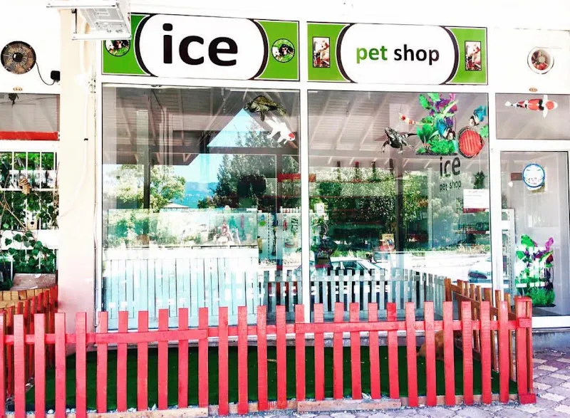 ice petshop foto 2