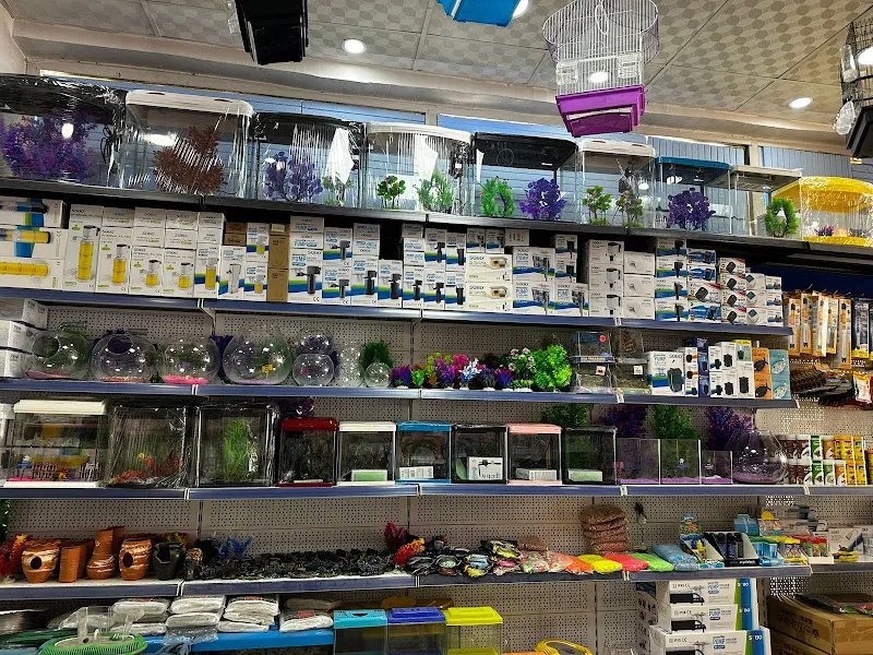 Dost Petshop foto 1
