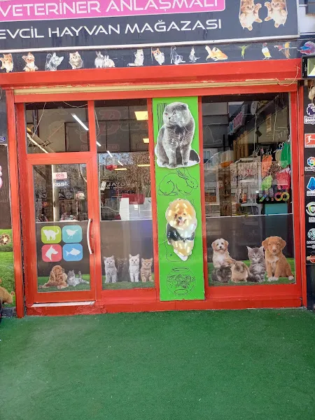 PetVilla petshop foto 2