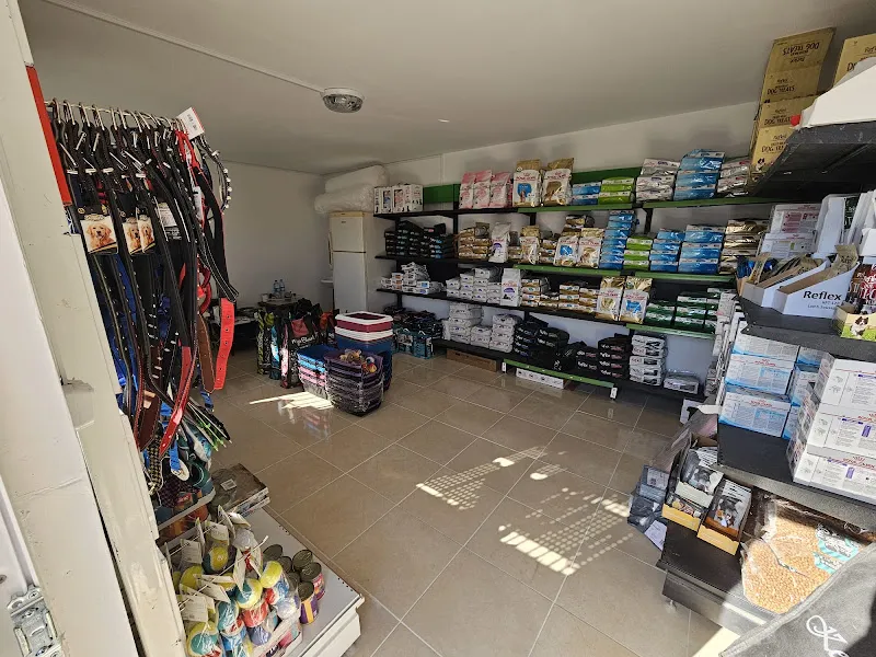 HERA PET SHOP foto 2