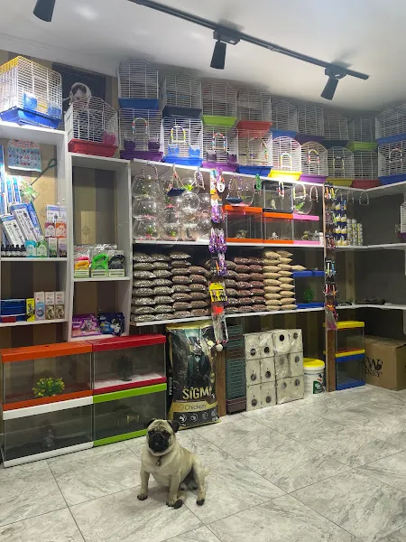 Muhabbetim petshop... foto 2