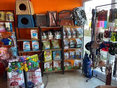 FOX PET STORE PET GROOMİNG MANAVGAT fotoğrafı