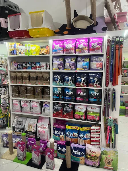 Şabanözü Okyanus Pet Shop - Oyuncak foto 2