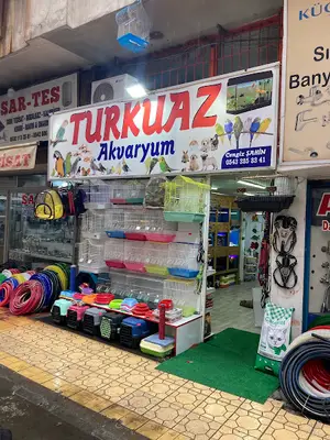Turkuaz Petshop Akvaryum