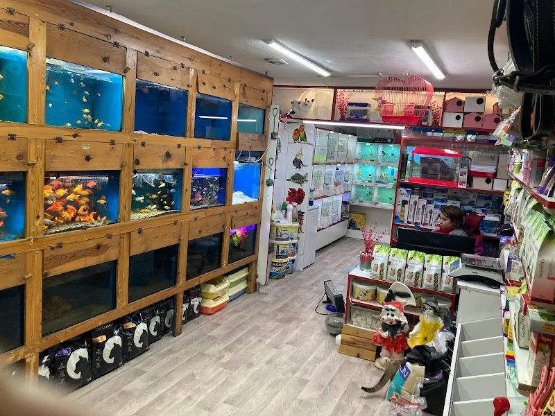 Turkuaz Petshop Akvaryum foto 2