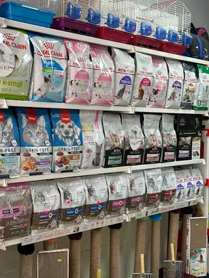 İzpetshop