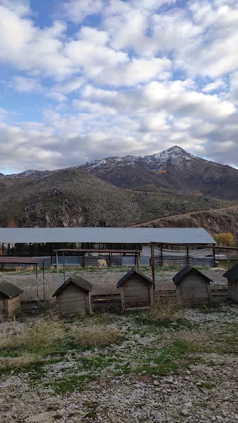 Bitlis Hayvan Barınağı foto 1