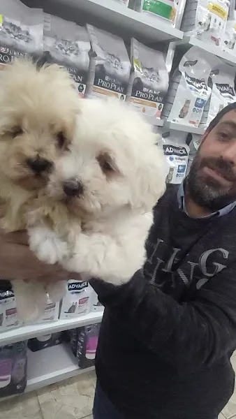 Efe petshop foto 2