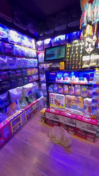 Hatay Evcil Pet Shop Antakya foto 2