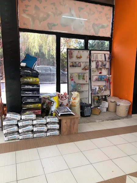 Safari petshop foto 2