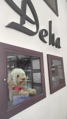 Deha Veteriner Kliniği