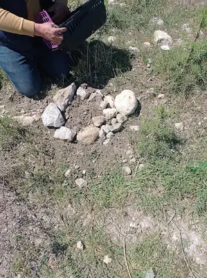 Mersin Büyükşehir Belediyesi Kedi Kısırlaştırma Merkezi